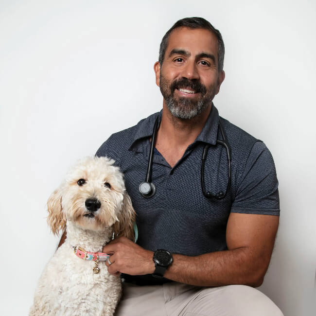 Dr. Daniel Diaz