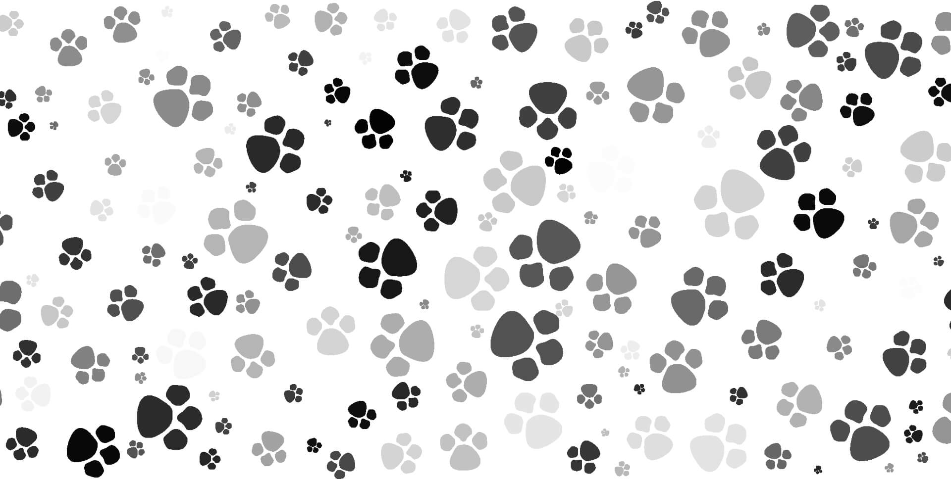 Las Vegas Veterinarian