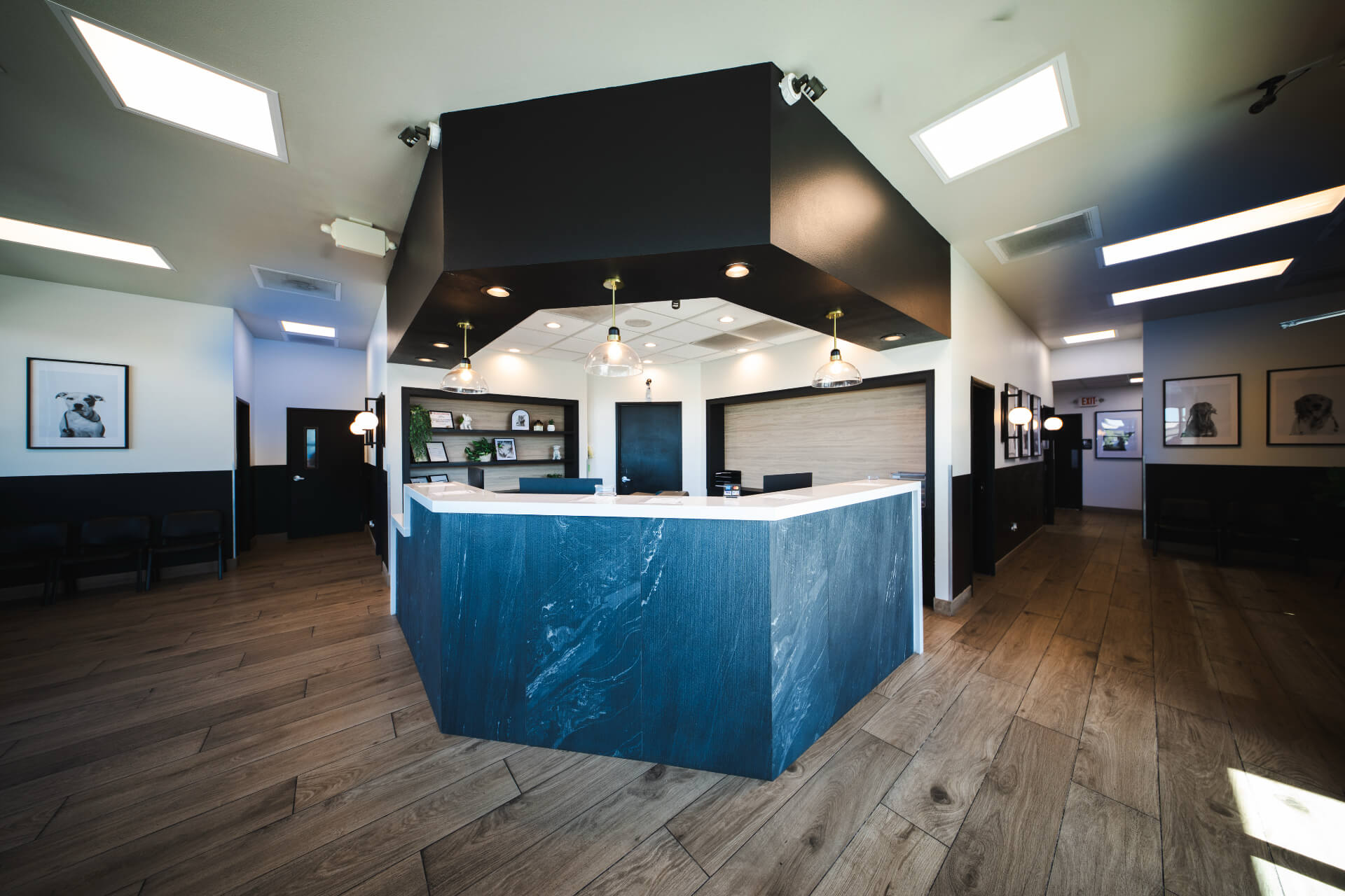 Las Vegas Veterinary Clinic