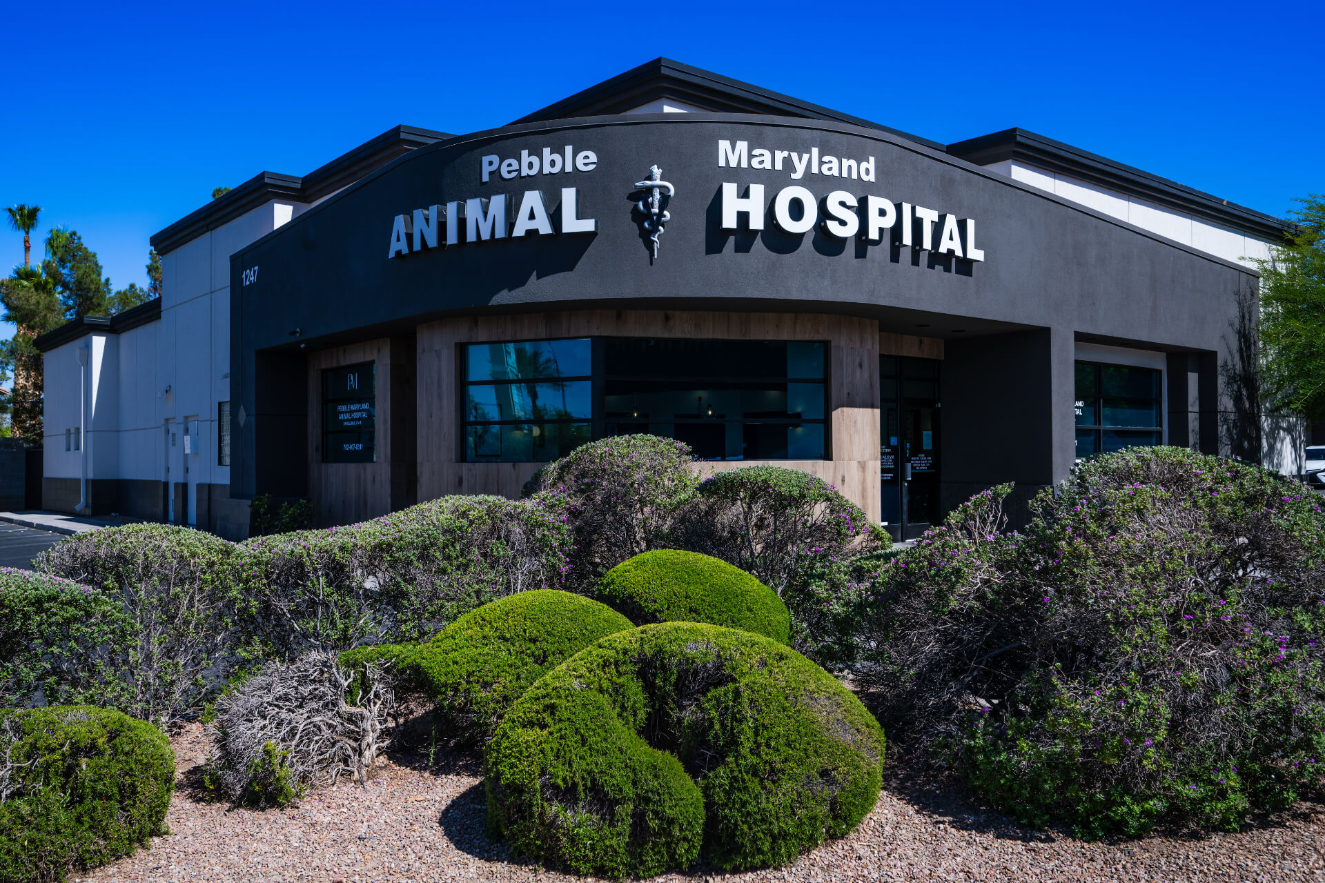 Full service animal hospital in Las Vegas, NV